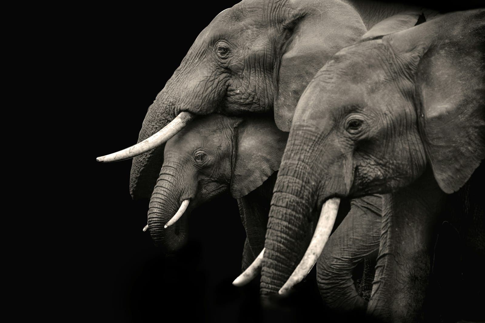 How to create a custom random ID with Postgres